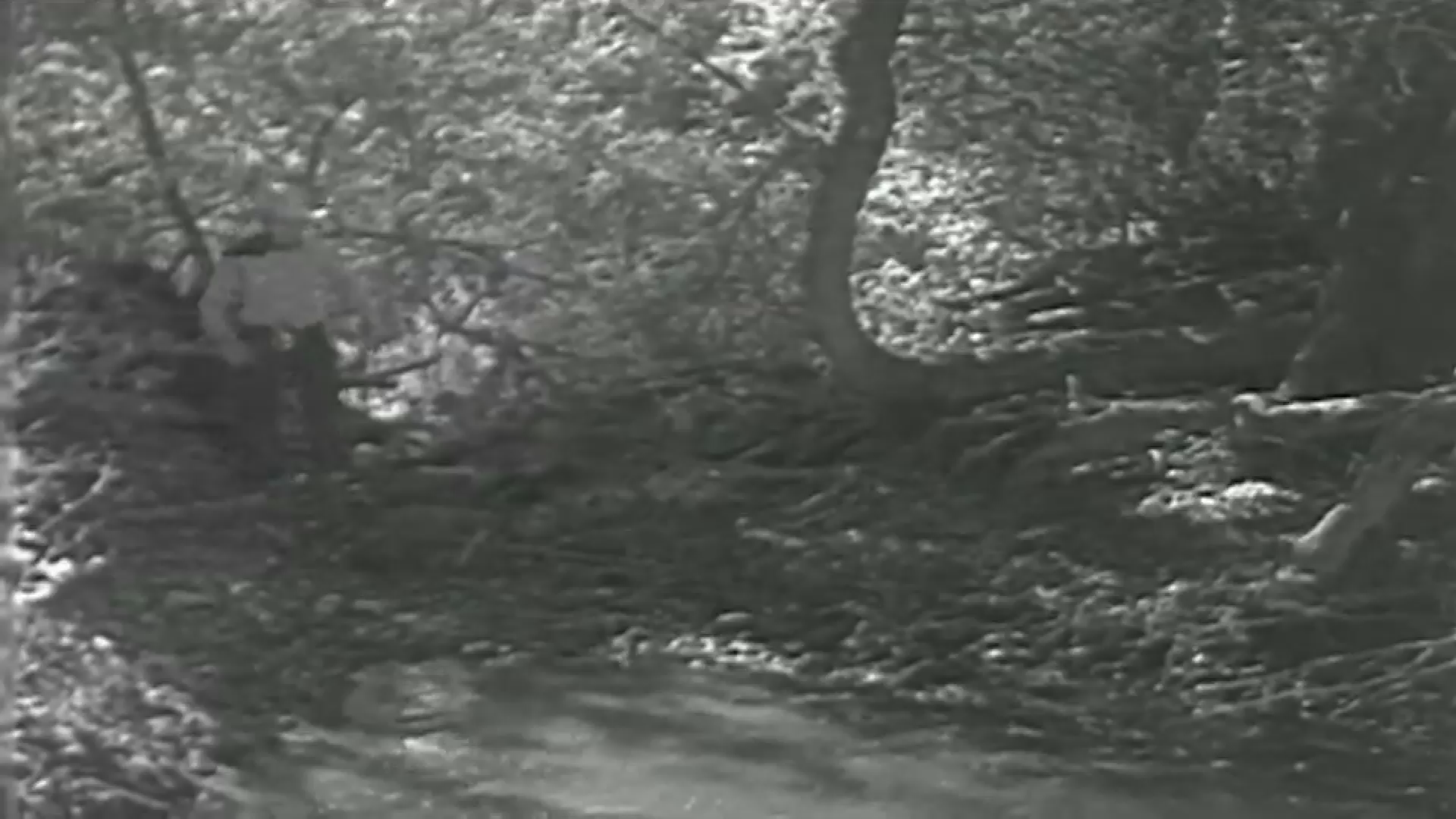 B-Western Theater: Song of the Gringo