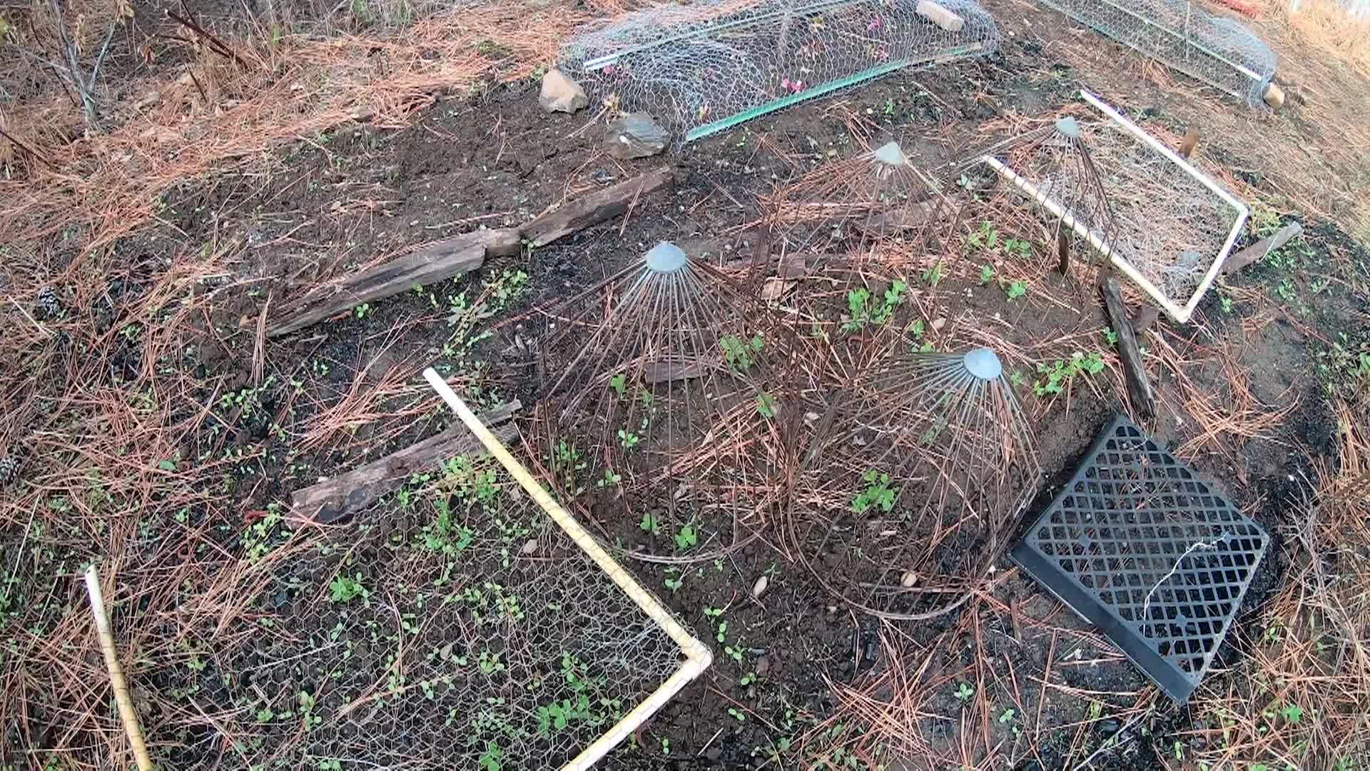 Willow's Vintage Homestead: Roundup