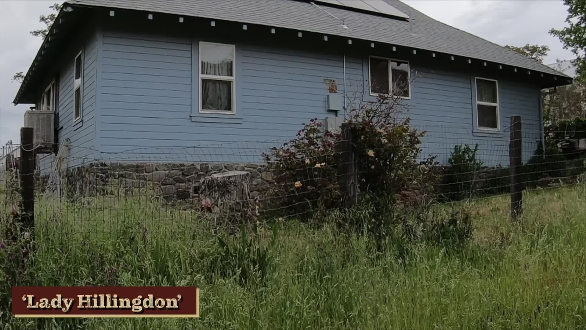 Willow's Vintage Homestead: Rose Tour