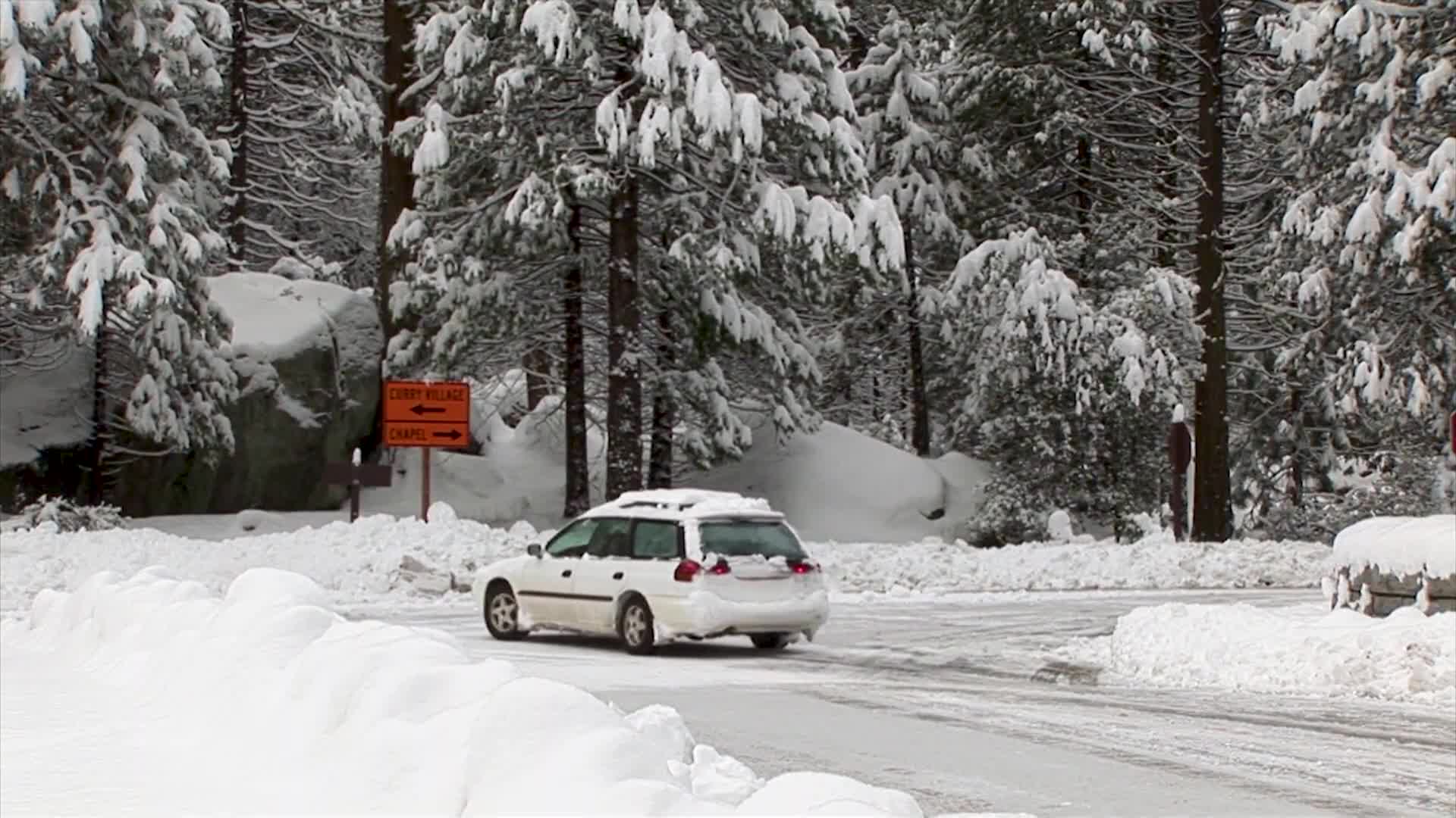 Yosemite Nature Notes