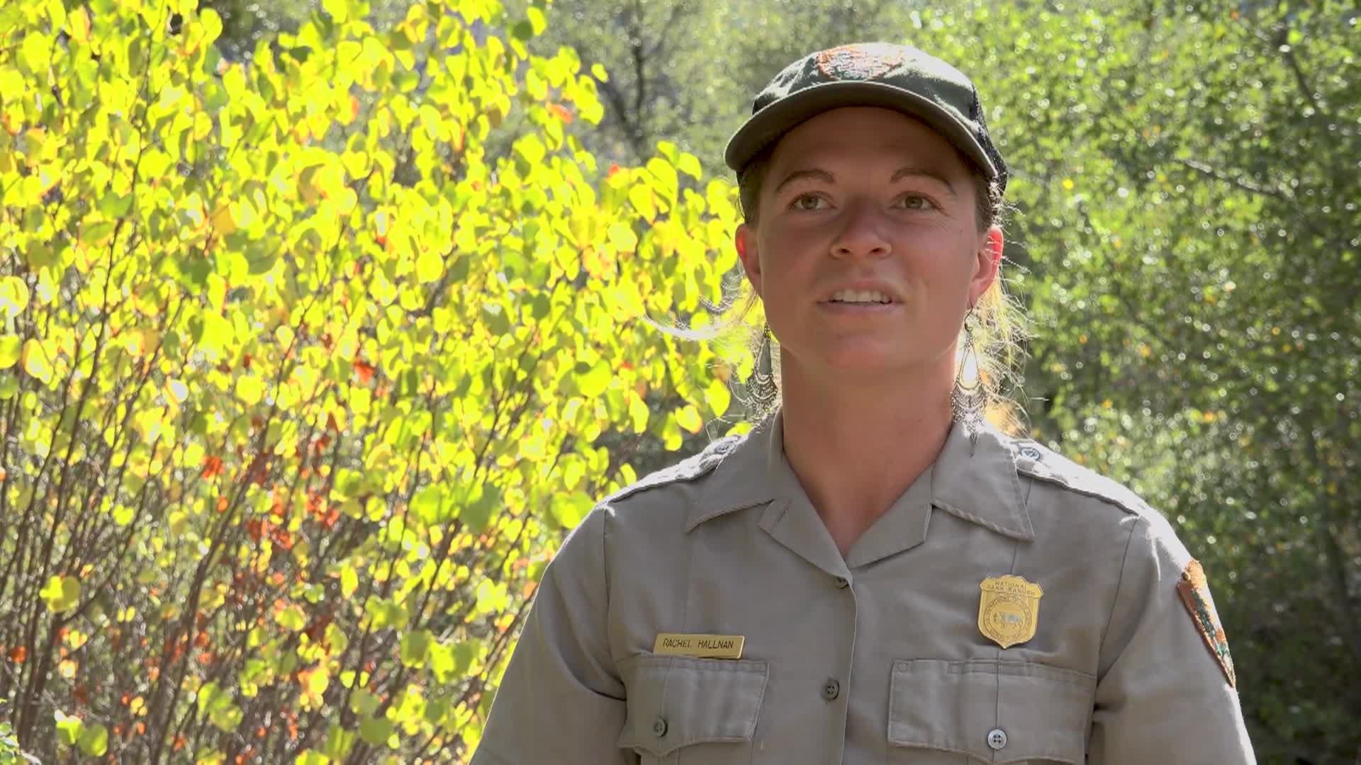 Yosemite Nature Notes