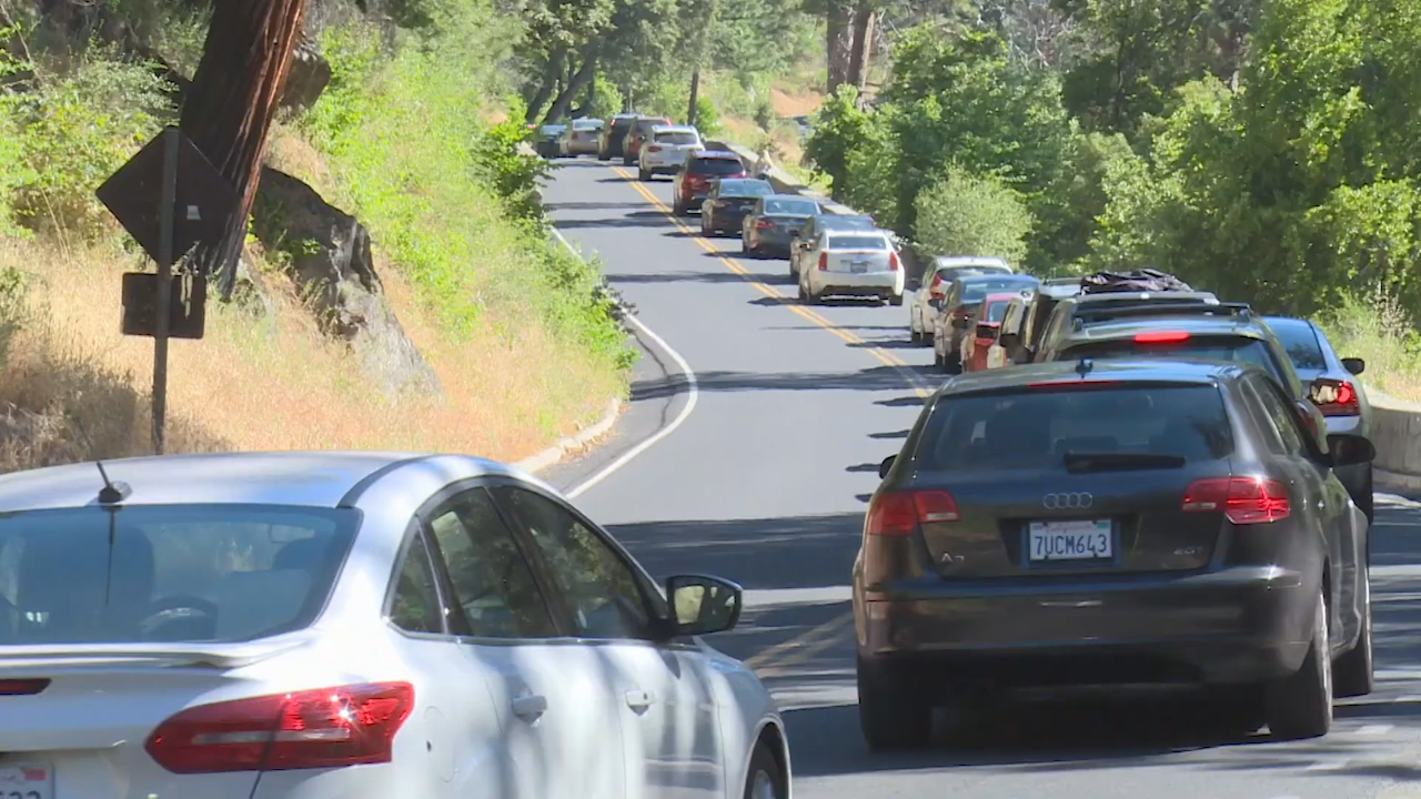 Yosemite Nature Notes: A Century on the Tioga Road