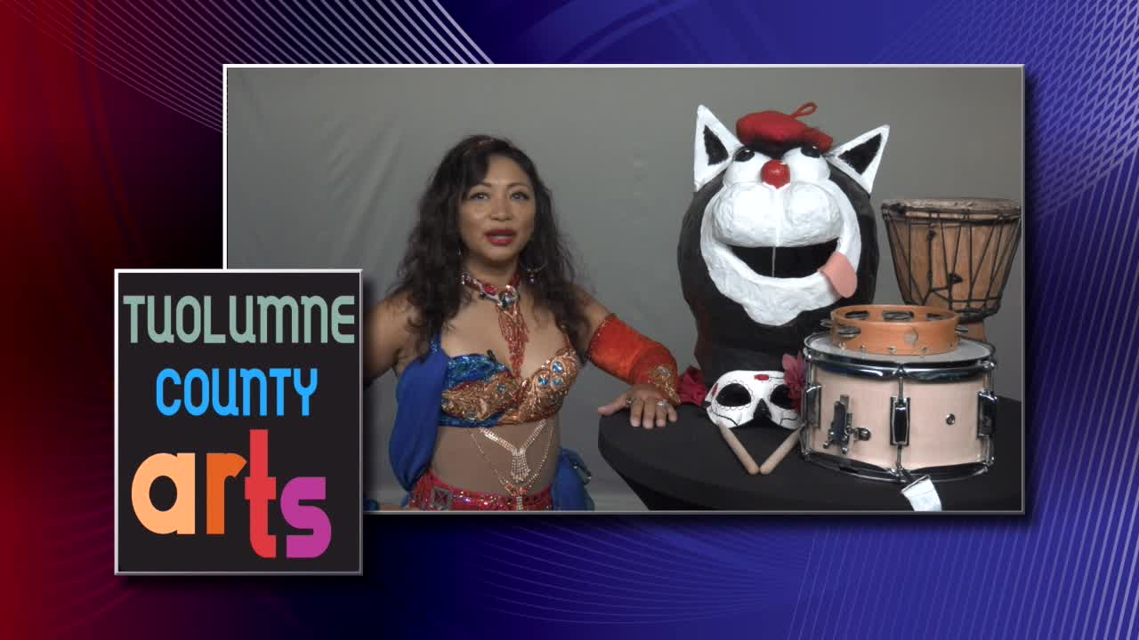 Volunteer with TC Arts