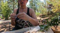 Navigate to Willow's Vintage Homestead: Sourcing for Basket Weaving