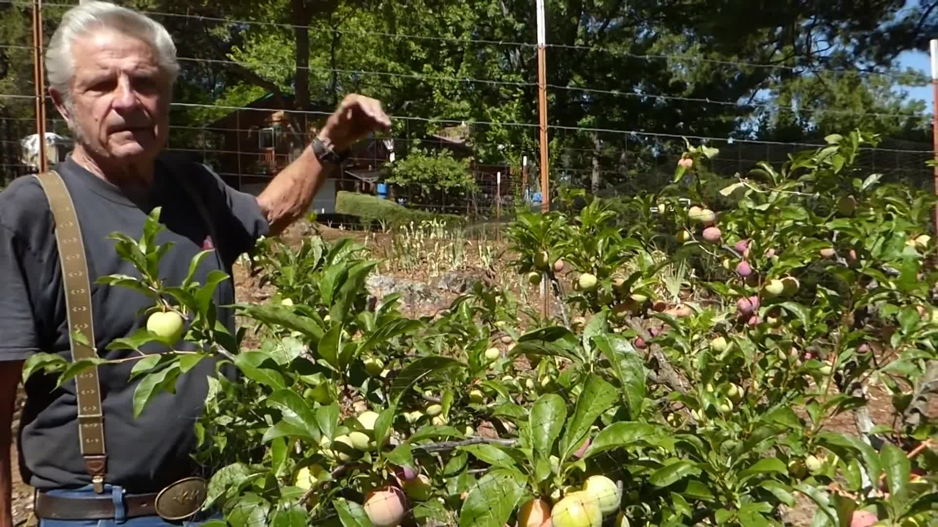 Master Gardeners: Small Home Orchard